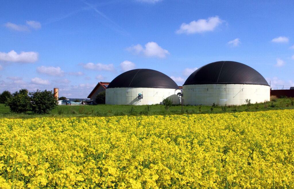 Biogas: What’s New
