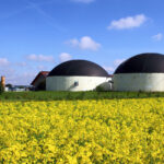 Biogas: What’s New...